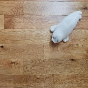Artisan Flooring - French Oak SATIN LACQUERED